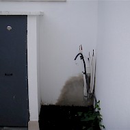 Remodelação de moradia - Camarate